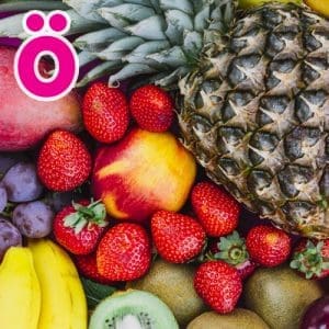 EXTRA FRUITS